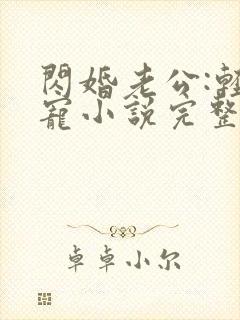 闪婚老公:轻点宠小说完整版