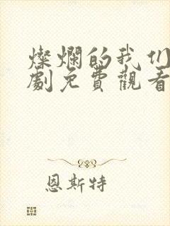 灿烂的我们电视剧免费观看全集