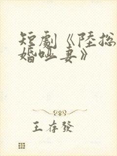 短剧《陆总的新婚哑妻》