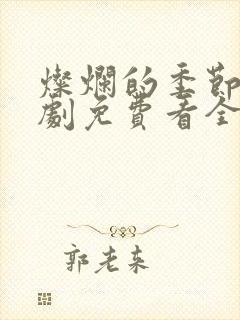 灿烂的季节电视剧免费看全集