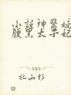 小说神医嫡女:腹黑太子妃
