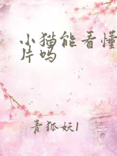 小猫能看懂动画片吗