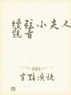 续弦小夫人全文观看