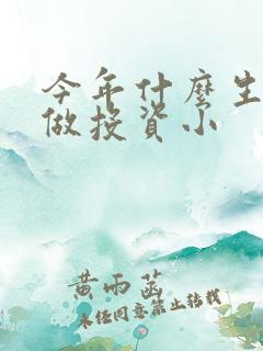 今年什么生意好做投资小