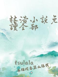 林浩小说免费阅读全部