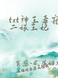 txt神王毒宠二嫁王妃