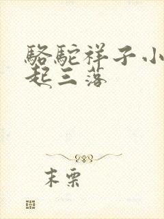 骆驼祥子小传三起三落