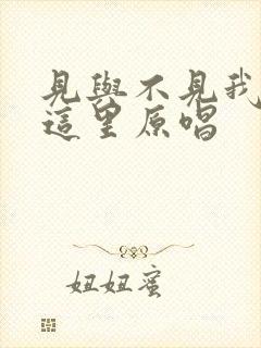 见与不见我就在这里原唱