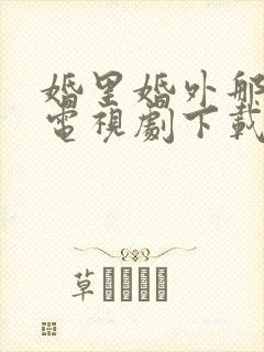 婚里婚外那些事电视剧下载