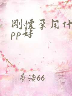 刚怀孕用什么app好