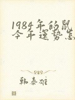 1984年的鼠今年运势怎么样