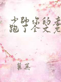 少帅你的老婆又跑了全文免费阅读