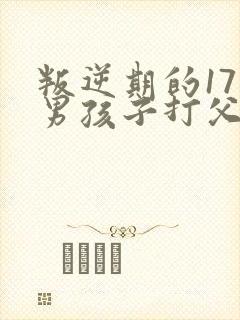 叛逆期的17岁男孩子打父母怎么办