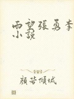 雨望张勇李月的小说