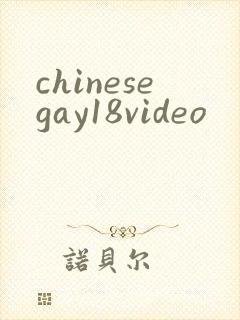 chinesegay18video