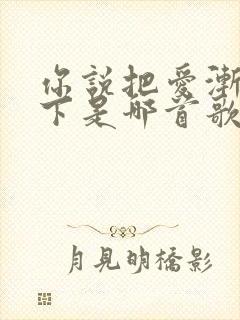 你说把爱渐渐放下是哪首歌的歌词