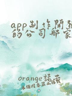 app制作开发的公司哪家好