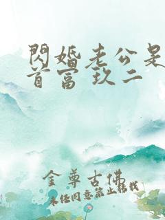 闪婚老公是千亿首富 玖二