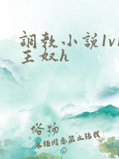 调教小说1v1主奴h