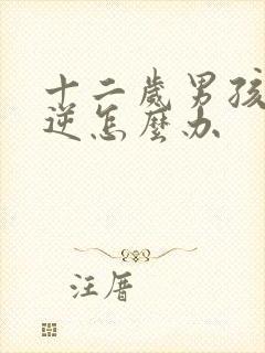 十二岁男孩很叛逆怎么办