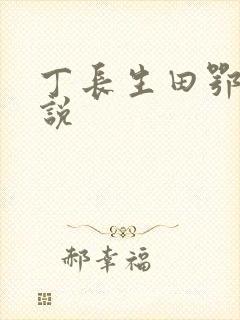 丁长生田鄂茹小说