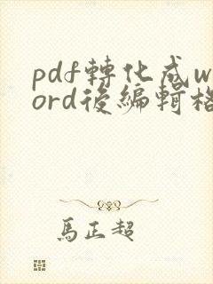 pdf转化成word后编辑格式不好调