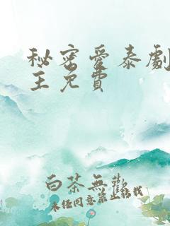 秘密爱泰剧双男主免费