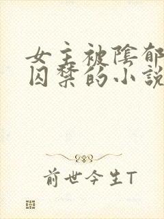女主被阴郁疯批囚禁的小说