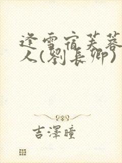 逢雪宿芙蓉山主人(刘长卿)