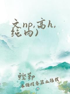文np,高h,纯肉)