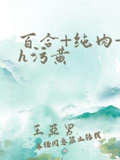 百合+纯肉+超h污黄