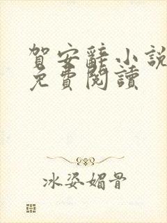 贺安辞小说全文免费阅读