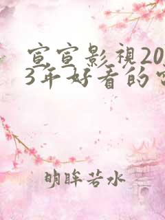 宣宣影视2023年好看的电视剧