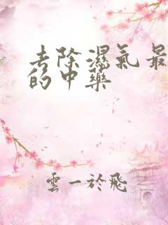 去除湿气最有效的中药