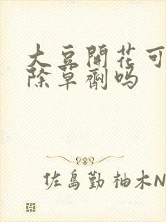 大豆开花可以打除草剂吗