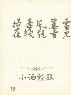 扫毒风暴电视剧在线观看免费全集