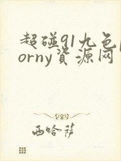 超碰91九色porny资源网