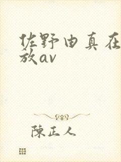 佐野由真在线播放av