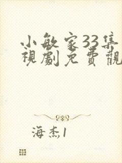 小敏家33集电视剧免费观看