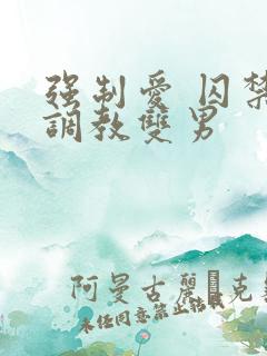 强制爱 囚禁 调教双男