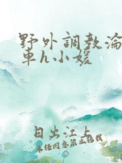 野外调教沦为公车h小媛
