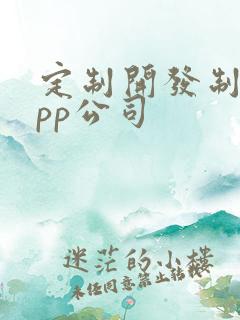 定制开发制作app公司