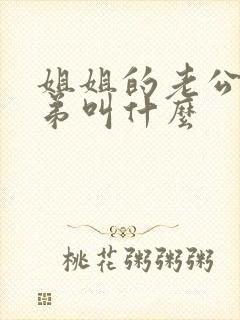 姐姐的老公的弟弟叫什么
