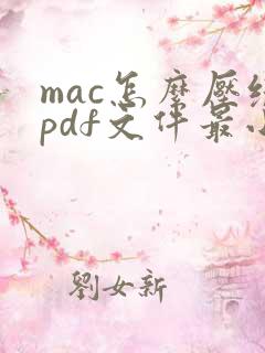 mac怎么压缩pdf文件最小
