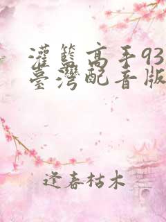 灌篮高手93年台湾配音版
