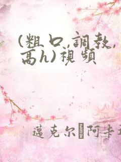 (粗口,调教,高h)视频