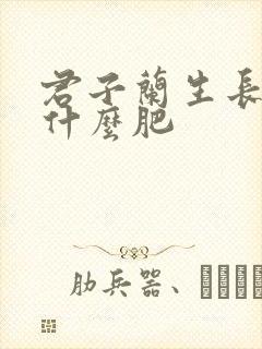 君子兰生长期施什么肥