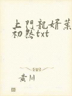 上门龙婿叶辰萧初然txt