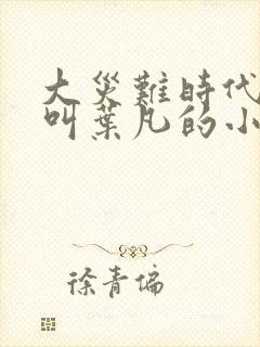 大灾难时代主角叫叶凡的小说