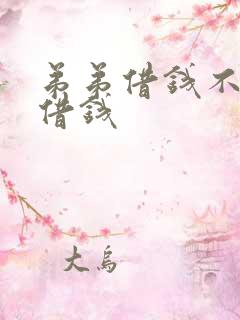 弟弟借钱不还又借钱